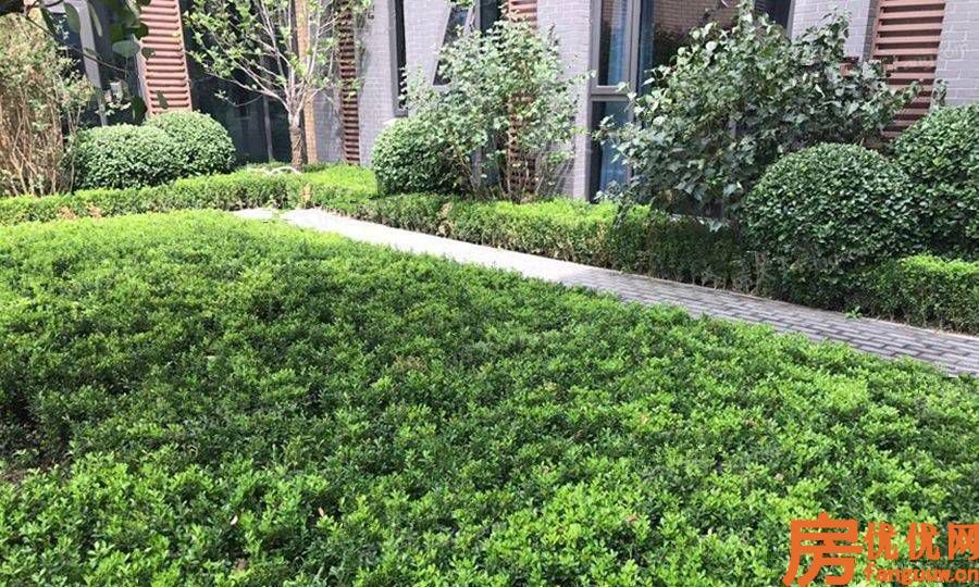 永清融创城实景图