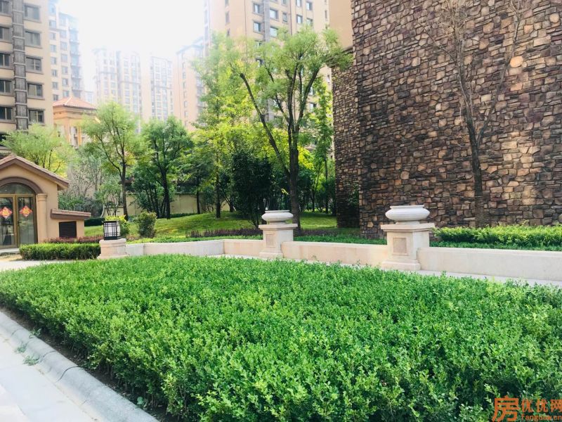 龙town铂悦山实景图