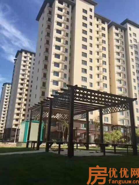 牛驼温泉小镇实景图