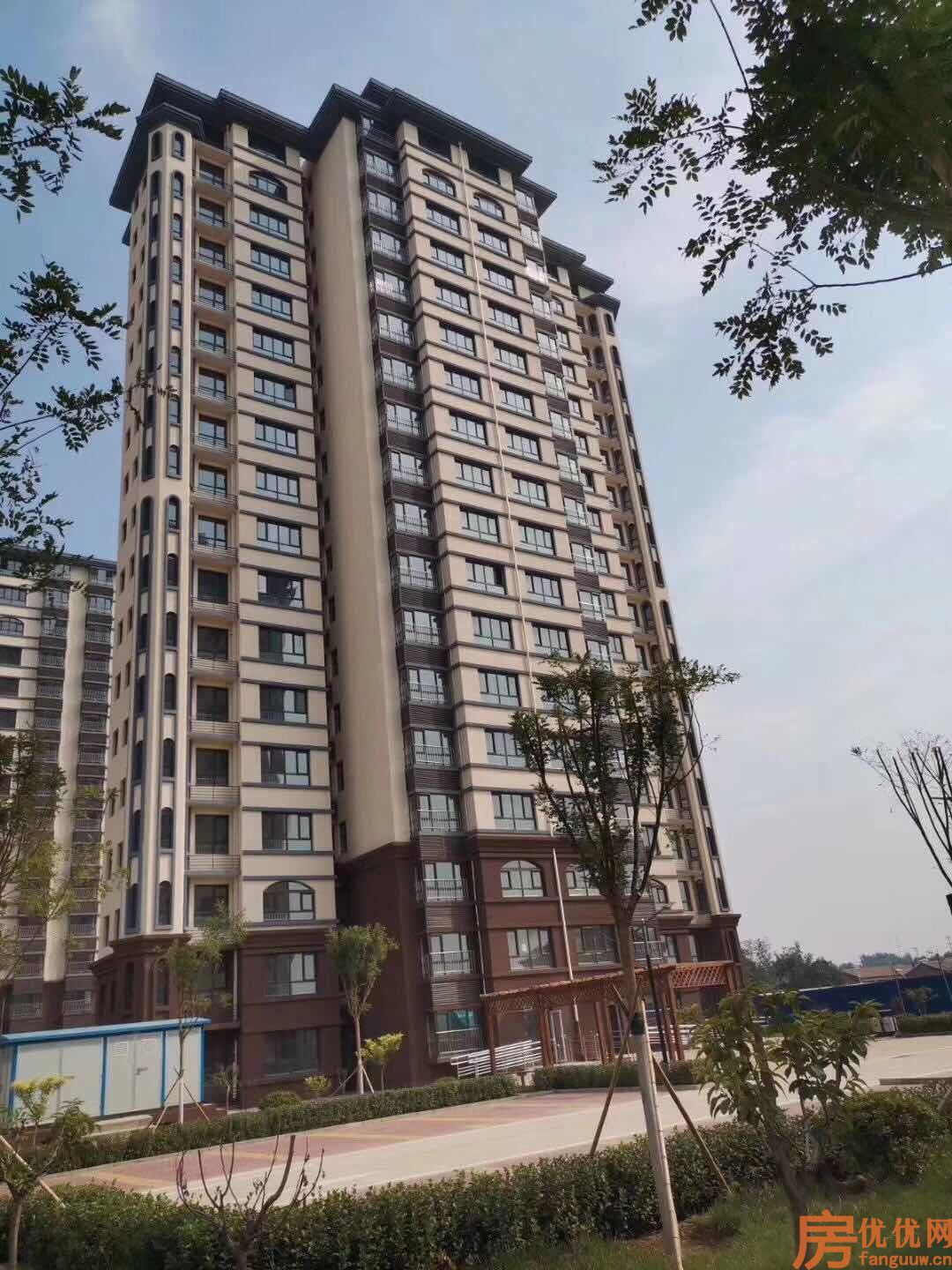 牛驼温泉小镇实景图