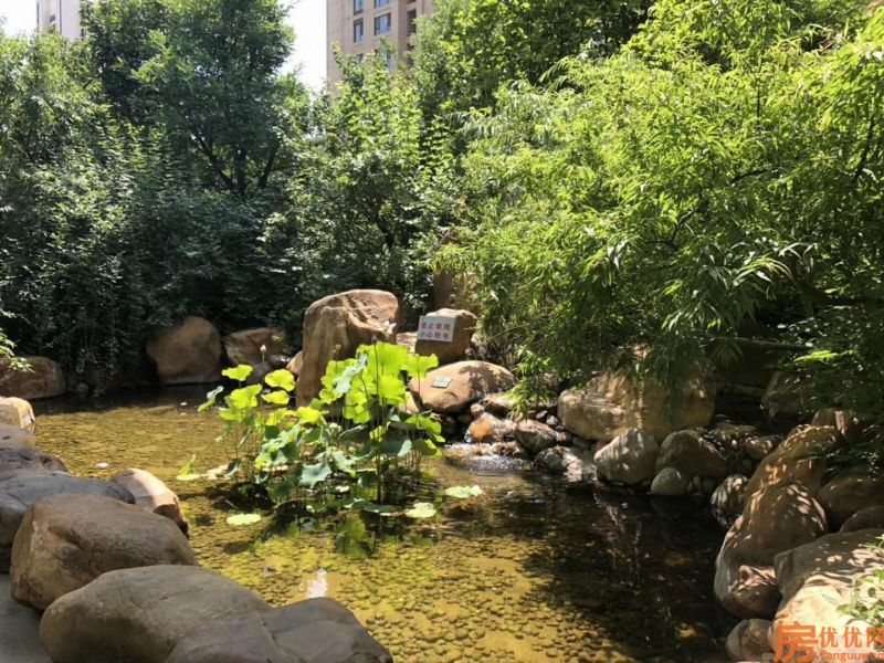 京东K2狮子城实景图
