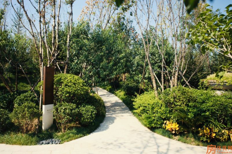 京东K2狮子城实景图