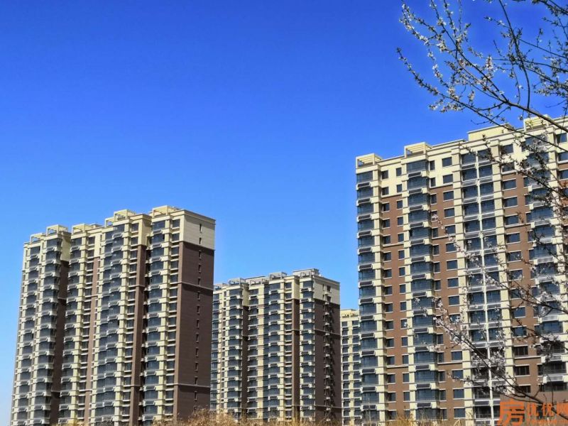 中远·佳成时代实景图