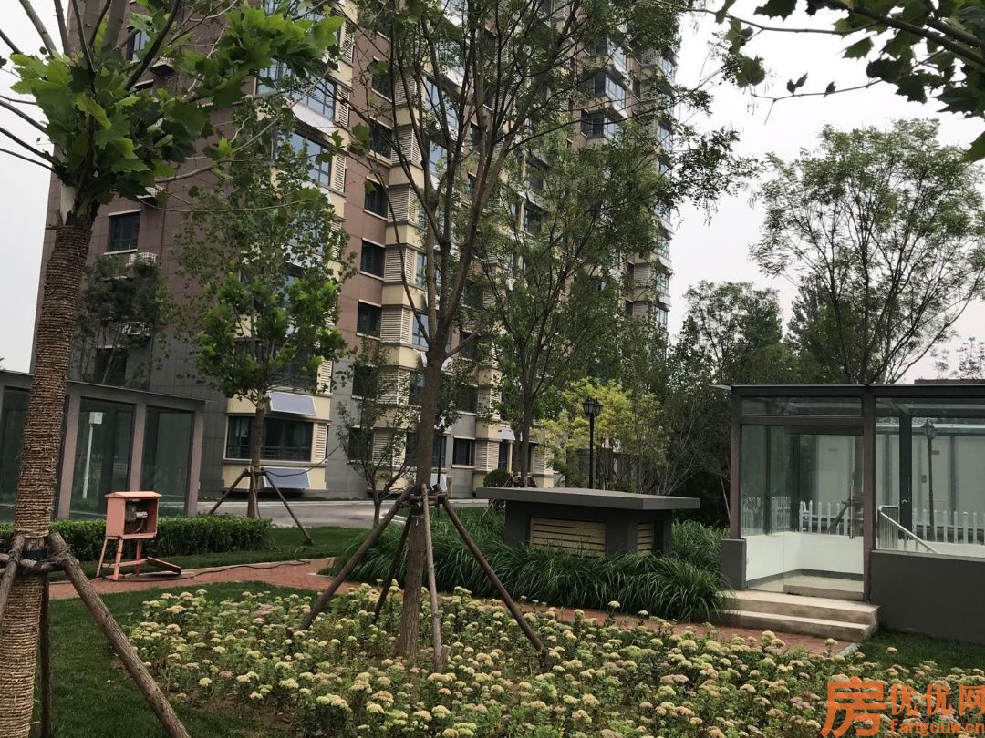 中远·佳成时代实景图