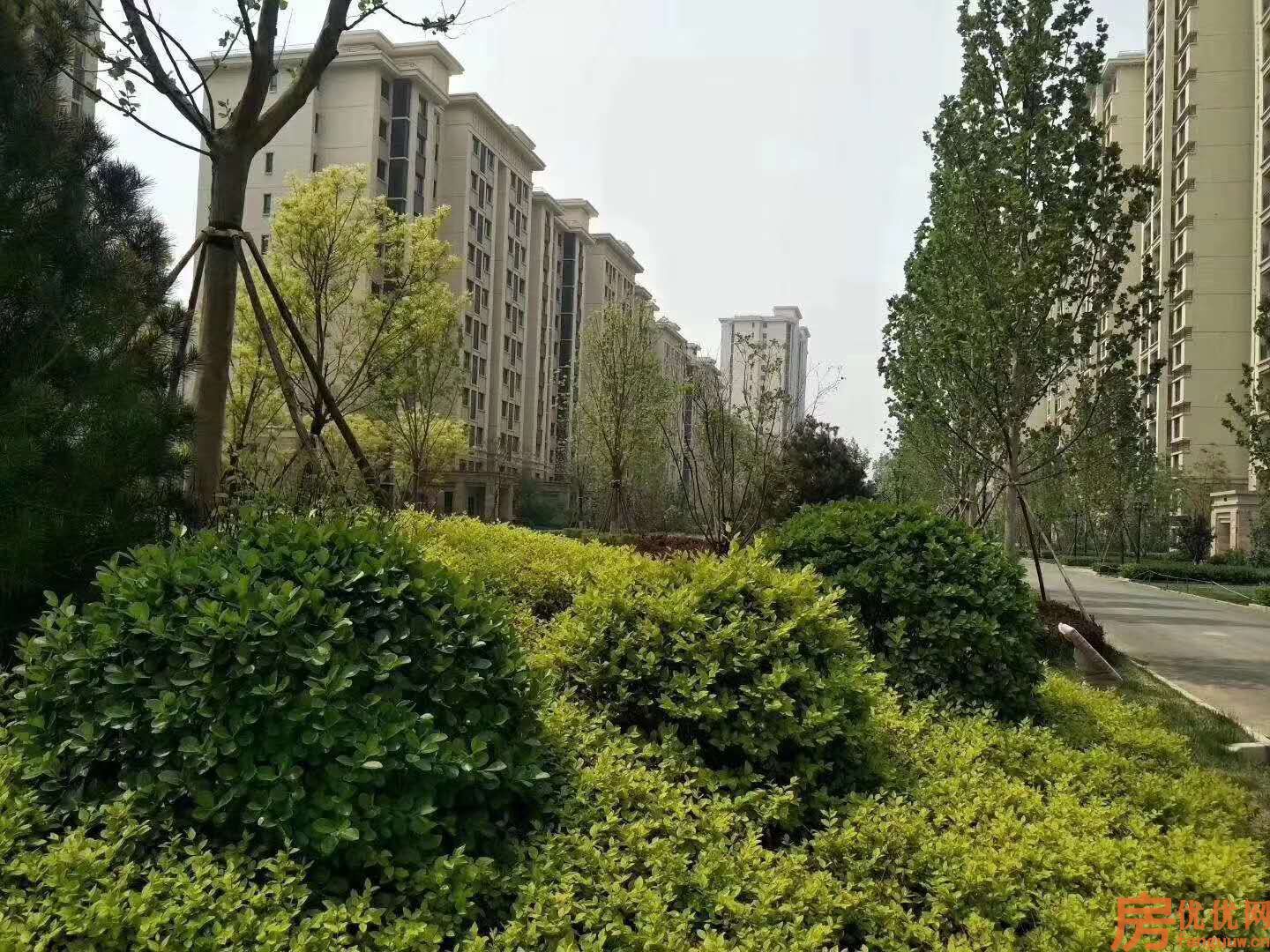 永清国瑞生态城实景图