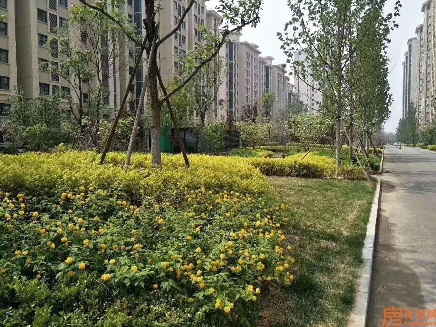永清国瑞生态城实景图