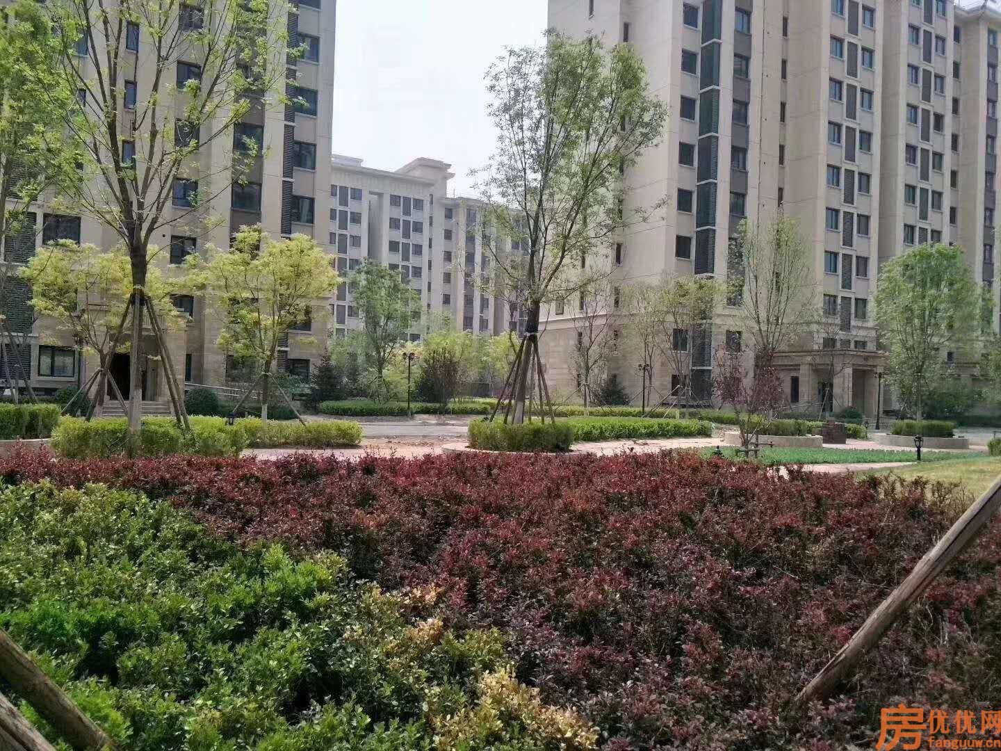 永清国瑞生态城实景图