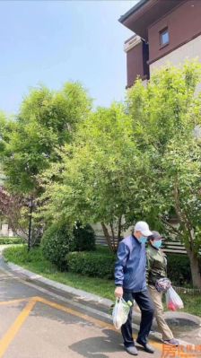 路劲阳光城院璟实景图
