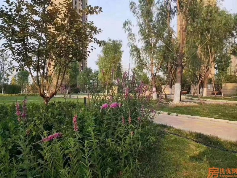 路劲阳光城实景图