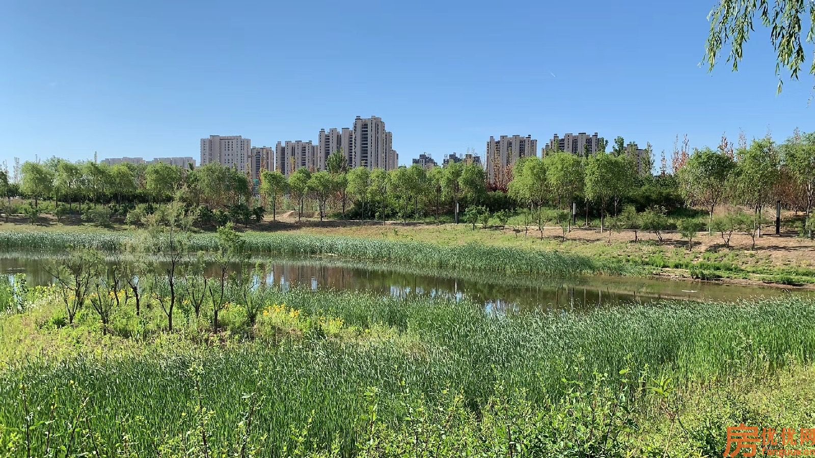 早安北京实景图