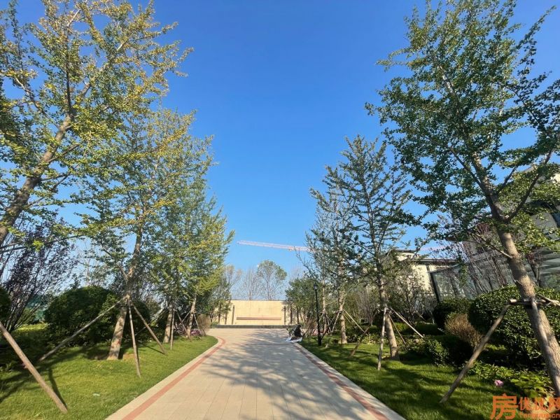 永清国瑞生态城实景图