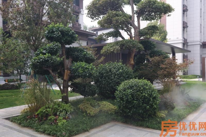 御东晟璟实景图