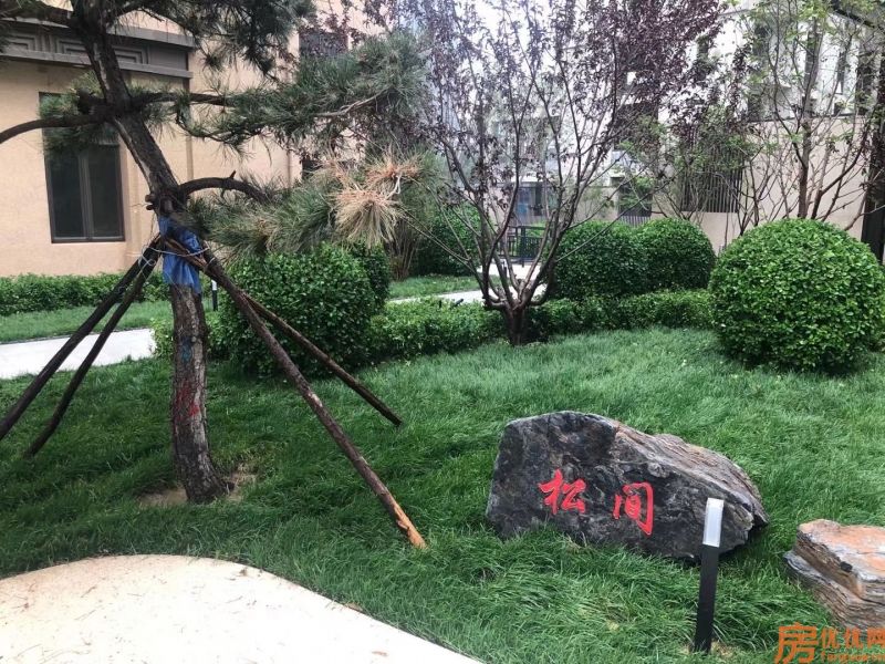 绿宸凤栖华府实景图