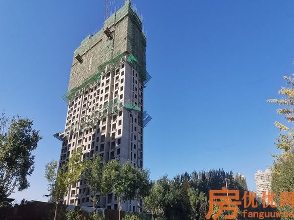 合美帝宝壹号实景图