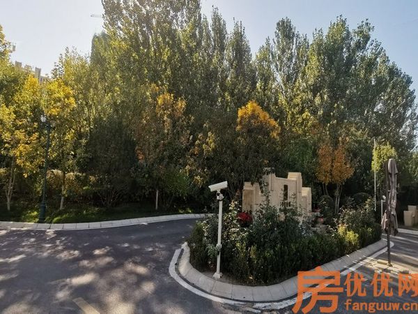 合美帝宝壹号实景图