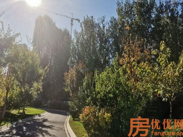 合美帝宝壹号实景图