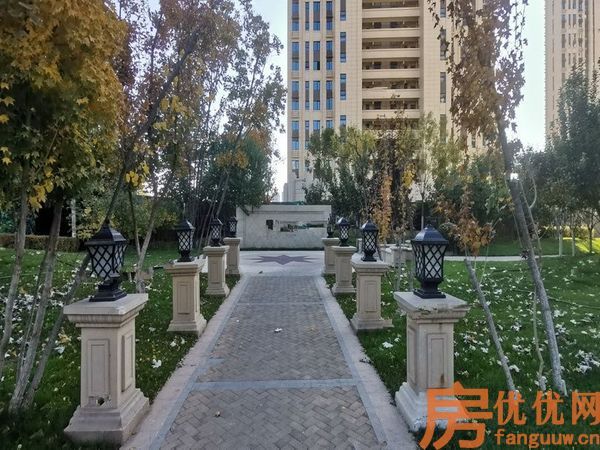 合美帝宝壹号实景图