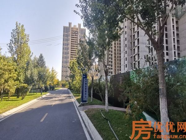 合美帝宝壹号实景图