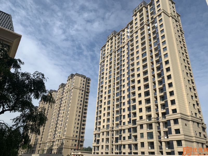 合美帝宝壹号实景图