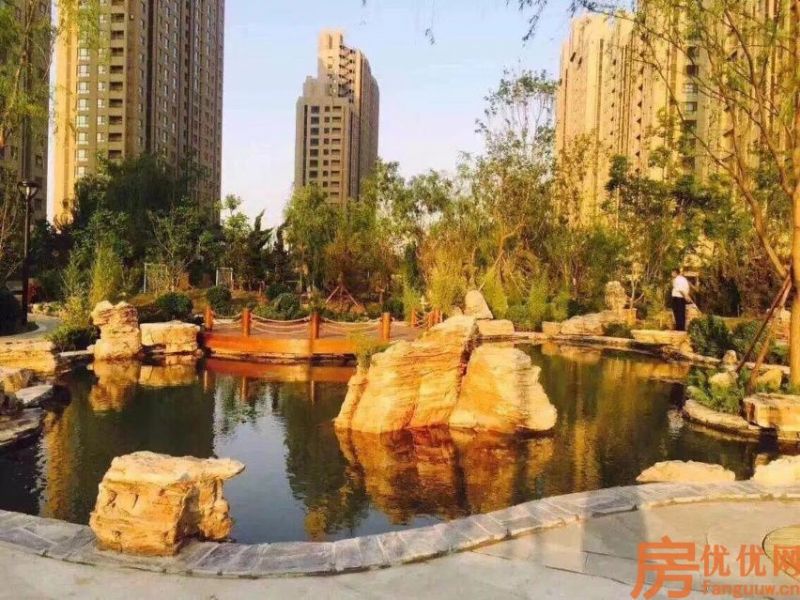 合美帝宝壹号实景图