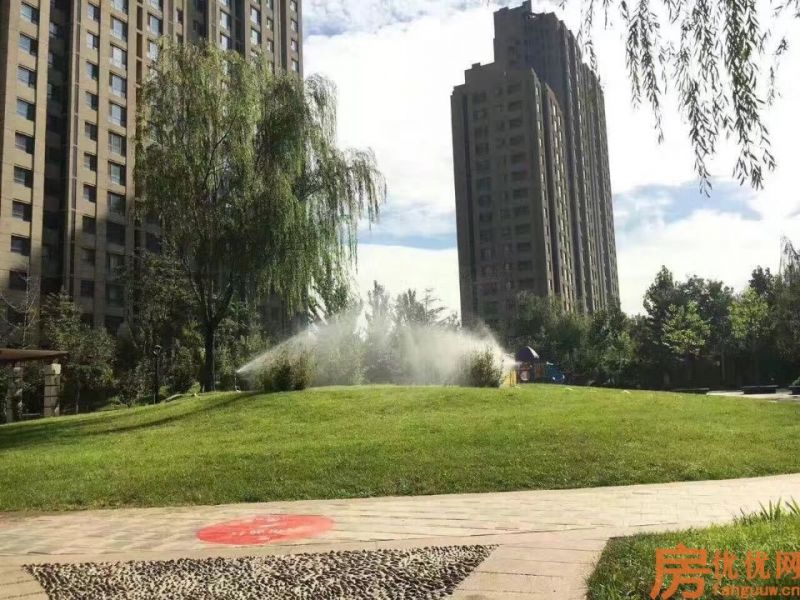合美帝宝壹号实景图