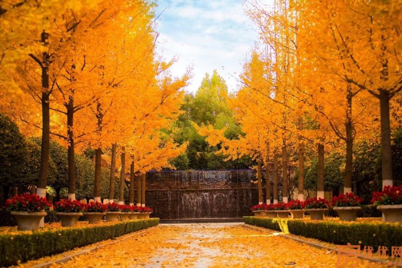 合美帝宝壹号实景图