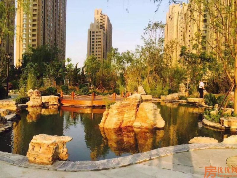 合美帝宝壹号实景图