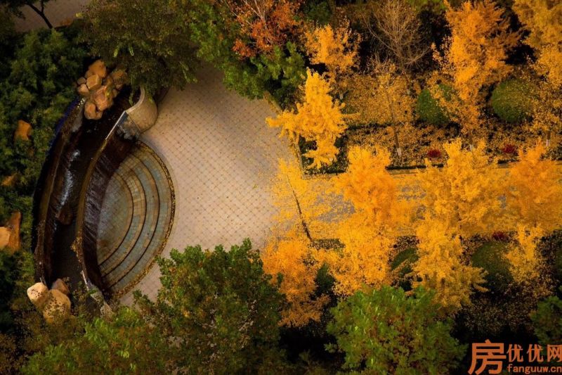 合美帝宝壹号实景图