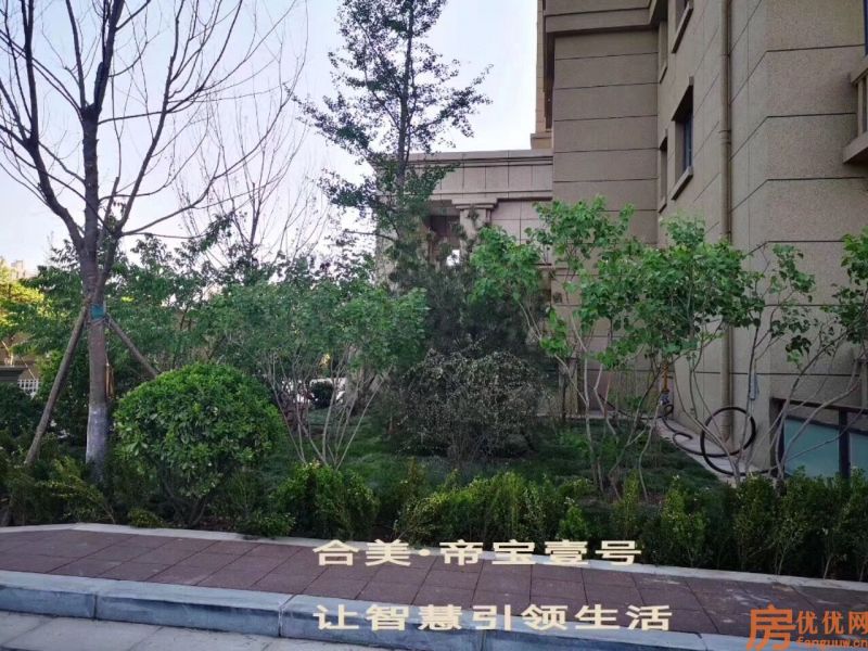 合美帝宝壹号实景图