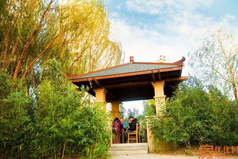 合美帝宝壹号实景图