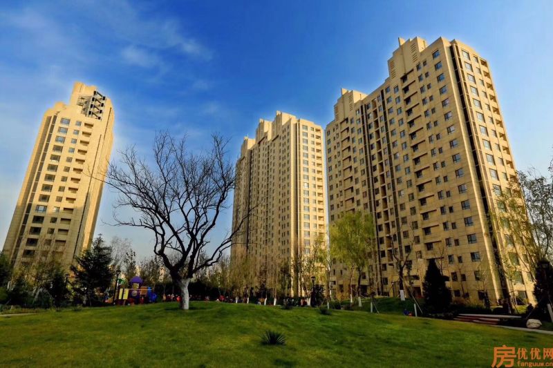 合美帝宝壹号实景图