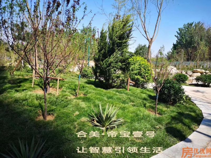 合美帝宝壹号实景图