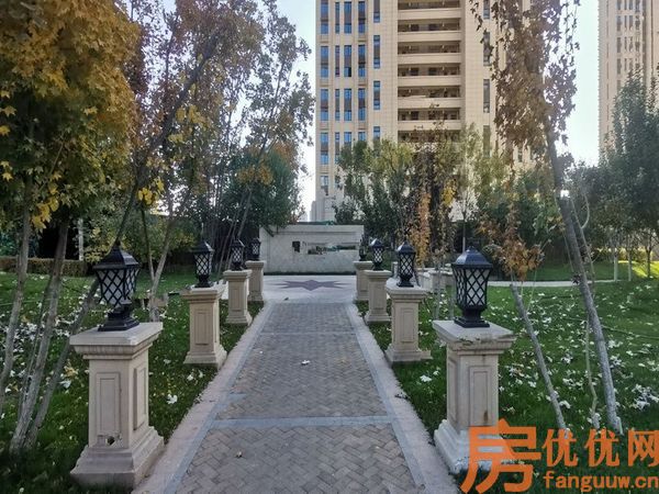合美帝宝壹号实景图