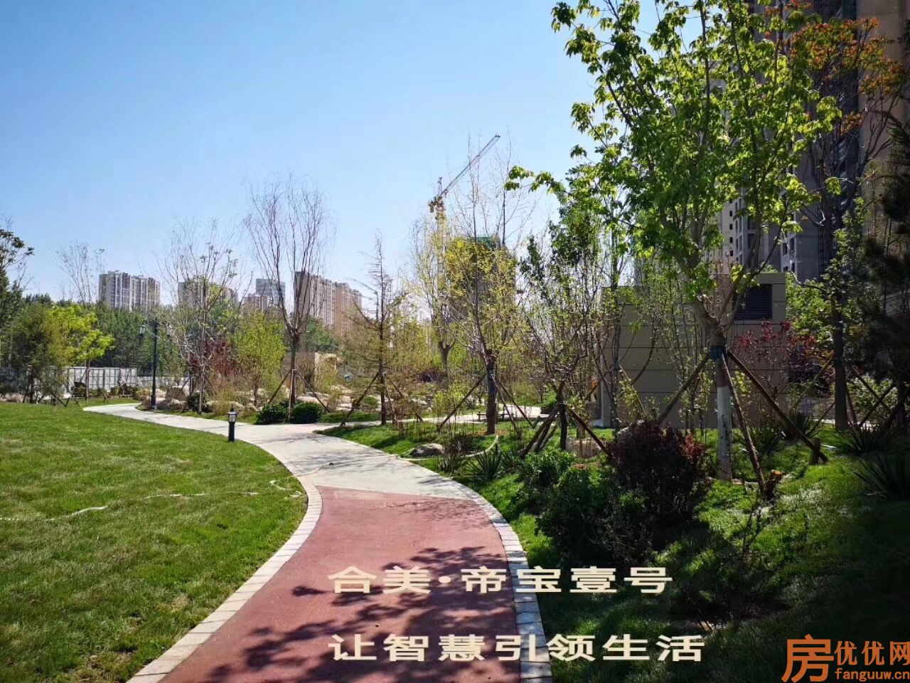 合美帝宝壹号实景图