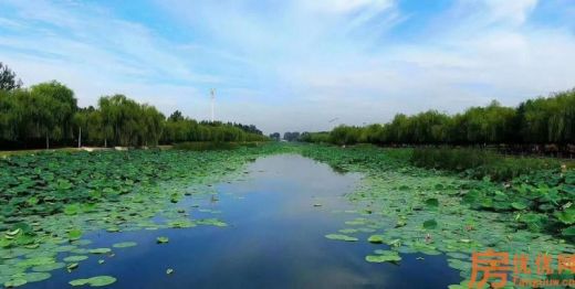万华城玫瑰苑实景图