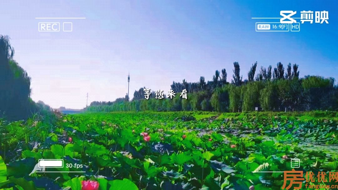 万华城玫瑰苑实景图