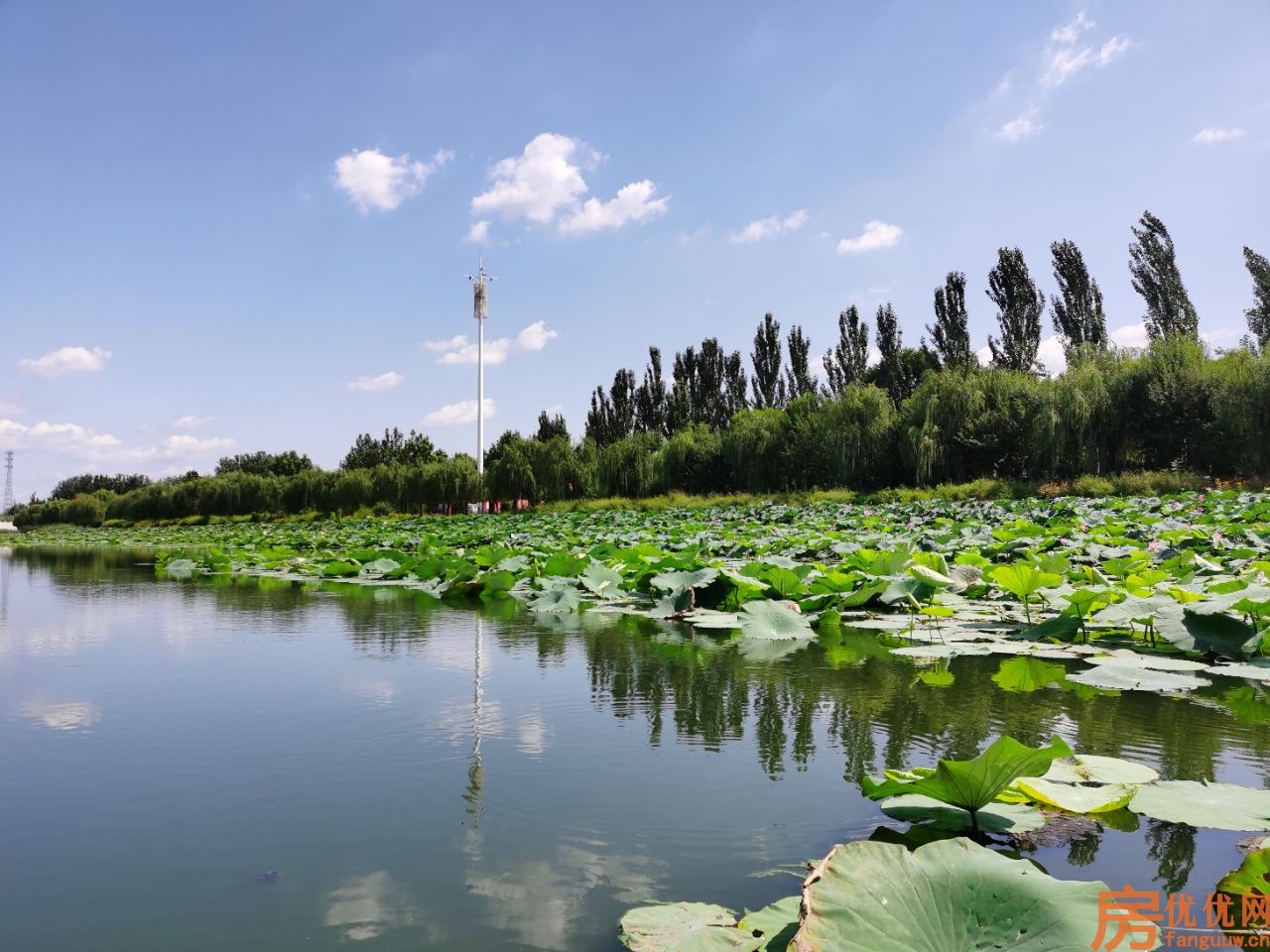 万华城玫瑰苑实景图