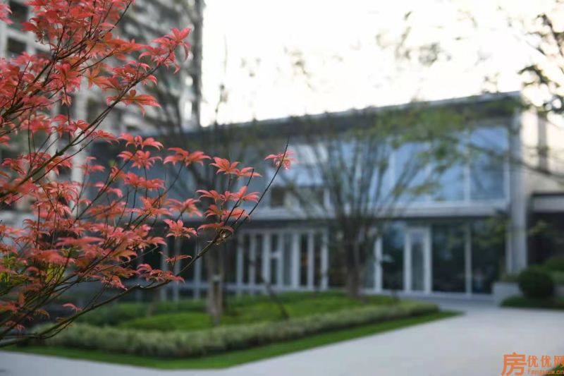 蓝城云庐实景图
